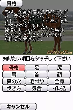 Image n° 3 - screenshots : Keiba Navi - Umanosuke
